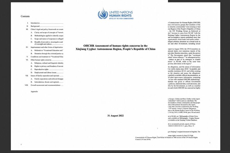 ب د ت نىڭ جەنۋەدىكى كىشىلىك ھوقۇق ئىشخانىسى 31-ئاۋغۇست كۈنى ئېلان قىلغان ئۇيغۇرلارغا ئالاقىدار دوكلاتى. 2022-يىلى 1-سېنتەبىر، جەنۋە.