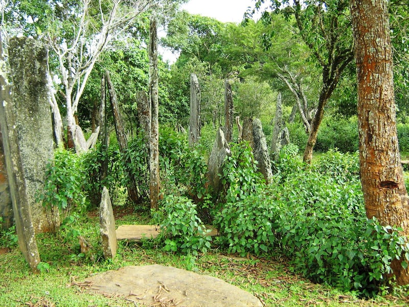 ຈົດໝາຍຈາກຜູ້ຟັງ:  ປີ 2023, ລາວ ສູນເສຍເນື້ອທີ່ປ່າໄມ້ 135,000 ເຮັກຕາ, ຈີນ ຈະປູກໝາກພຸກ ທີ່ແຂວງອຸດົມໄຊ